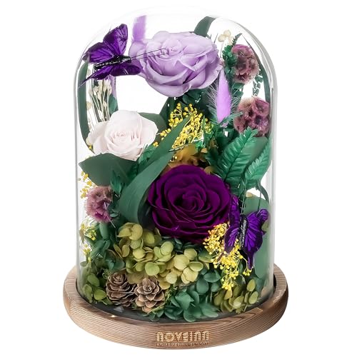 NOVEINN Preserved Flowers in Glass Dome - Eternal Rose Arrangement with Real Preserved Plants, Romantic Forever Rose Gift ...