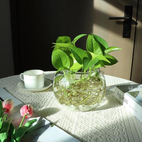 HWASHIN Set of 4 Clear Glass Vases, 6” W x 4.4” H, Round Candle Holders, Bubble Bowl, Flower Vases with Sponge Brush, Deco...