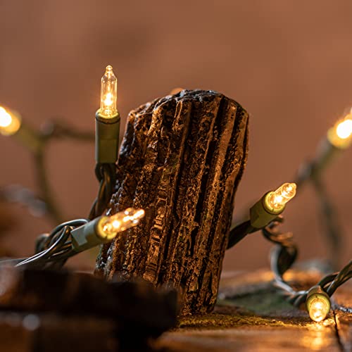 YULETIME 200 Clear Christmas Lights with Green Wire, Pack of 2 Strands of 21 ft 100 Count UL Certified Incandescent Mini S...