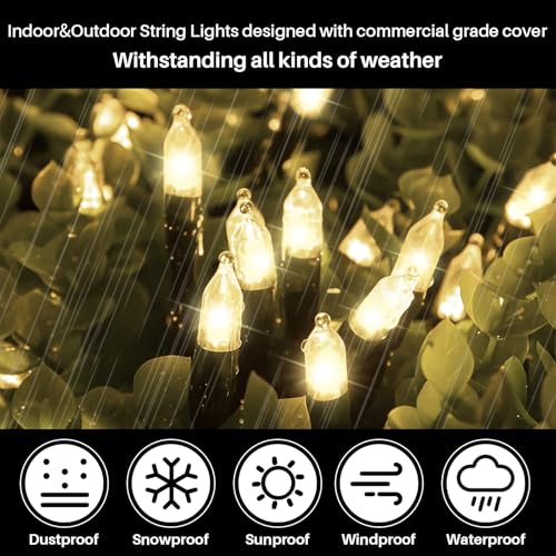 LAMPHOME Warm White Christmas Mini Lights, 32.5FT 100 LED String Lights with 16 Light Modes, Fairy Lights Plug in for Outd...