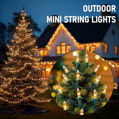 TW SHINE Warm White Christmas Lights Outdoor, 20FT 100 Count Incandescent Christmas Light Indoor, Waterproof Christmas Tre...