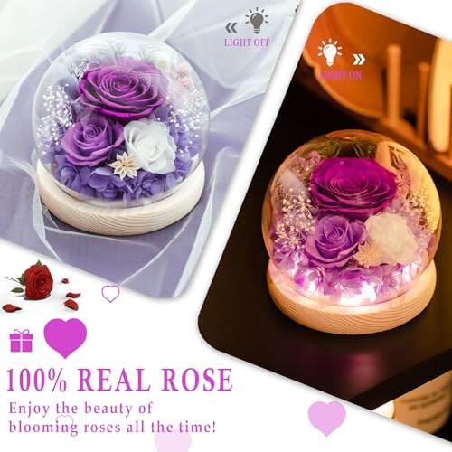 FIACO Valentines Day Gifts for Her Preserved Rose Forever Fresh Flowers for Delivery Birthday Flowers Gifts for Women Mom ...