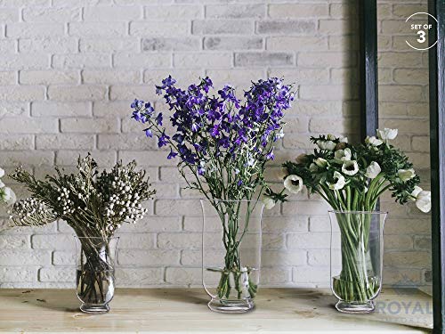 Royal Imports Hurricane Pillar Candle Holder, Clear Glass Flower Vase, Terrarium Planter, Decorative Centerpiece - Use for...