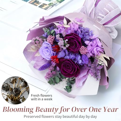Lewondr Flower for Delivery, Preserved Flowers Bouquet, Purple Roses Bouquet, Real Long-Lasting Forever Birthday Flowers G...
