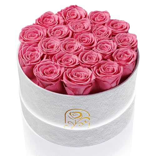 Gifts for Women Preserved Roses Flower Box, Luxury Velvet Box with 20 Roses, Preserved Flowers, Romantic Gift for Her, Wif...
