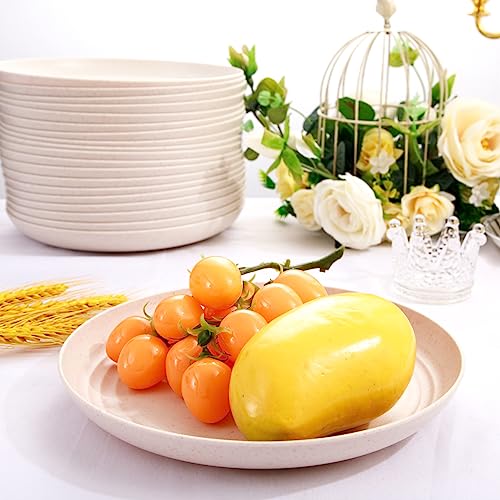 LIYH 20 Pcs Wheat Straw Plates - 9 Inch Unbreakable Dinner Plates - Dishwasher Safe Plastic Plate Reusable - Lightweight P...