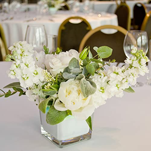 Comrzor Set of 6 Square Glass Vases 4" x 4" x 4", Clear Flower Vase, Plant Terrarium, Candle Holder for Wedding Centerpiec...