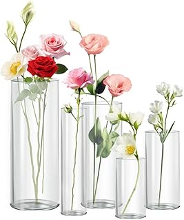 Zomiol Clear Glass Vase for Centerpieces, 4,6,7.5,8,10 inch Tall Set of 5 Cylinder Flower Vase Bulk Floating Candle Holder...