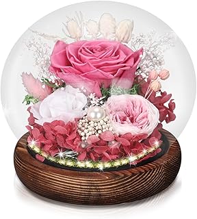 Liuzouwin Preserved Real Rose Glass Dome with LED Light, Preserved Flowers Gift for Women for Home Office Decoration (Pink)