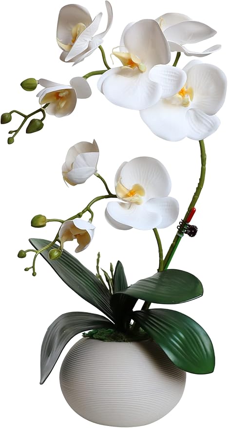 Forlaoers Tall 17" White Real Touch Orchid Artificial Flowers with Vase Fake Orchids Silk Floral for Home Decor Indoor Bat...