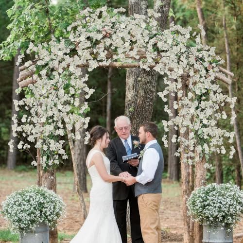 CISDUEO White Cherry Blossom Branches Long Stem Artificial Flowers for Tall Vase Silk Flower Bulk Plum Blossom Flowers for...