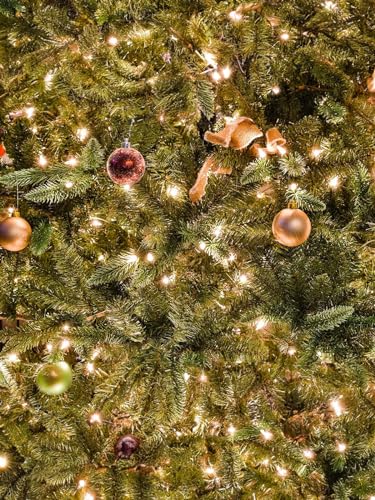 Twinkle Star Outdoor Christmas Lights Battery Operated 50 LED Mini String Light with 8 Modes, 16ft Waterproof Fairy Lights...