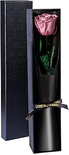 Preserved Flowers Gifts for Women, Flowers for Delivery, Single Roses with Stem, Valentines Day Roses Gifts for Her, Mothe...