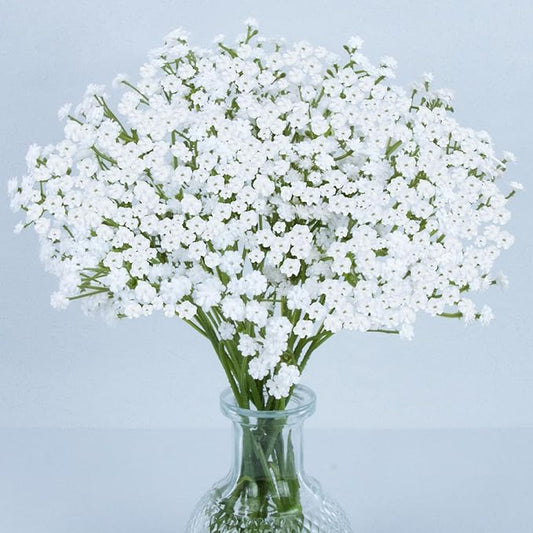 MAQIAHN 6 Baby Breath Artificial Flowers - Babies Breath Flowers Artificial Bulk Faux Flowers Bouquet White Flores Greener...
