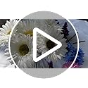 DSforG 16PCS White Flowers Gerbera Daisy Silk Flowers Artificial Flowers Artificial Daisy Fake Flowers Bouquet for Wedding...