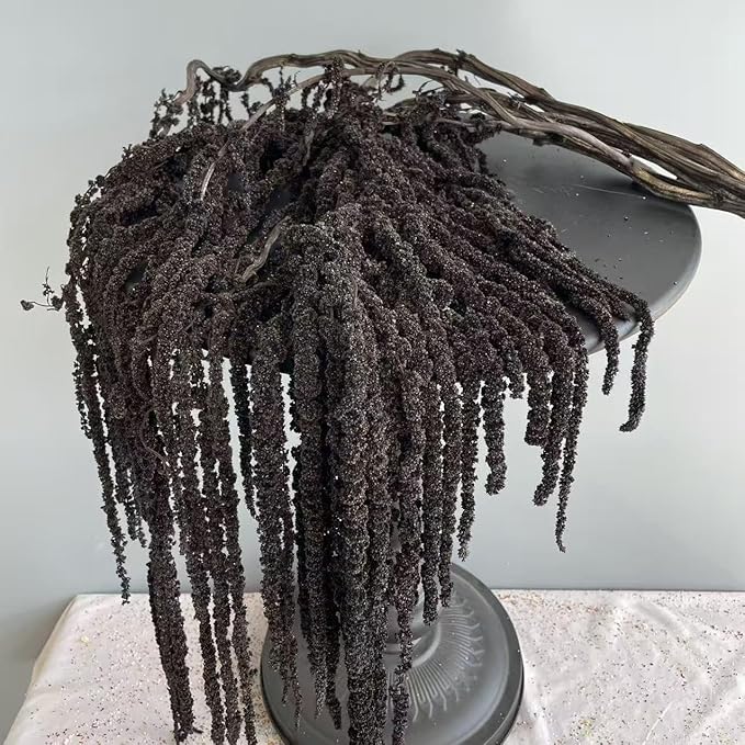 1 Bundle Dried Amaranthus Hanging Flowers Black Natural Preserved Flower for Wedding Arch Exhibition Wall Hanging Lover Te...