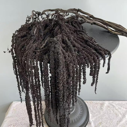 1 Bundle Dried Amaranthus Hanging Flowers Black Natural Preserved Flower for Wedding Arch Exhibition Wall Hanging Lover Te...
