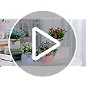 Der Rose 4 Pack Fake Flowers Artificial Plants Indoor for Home Kitchen Office Dining Centerpiece Table Decorations