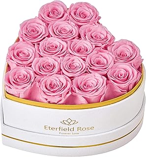 Eterfield 16 Forever Flowers in Heart Shape Box, Preserved Roses That Last a Year Preserved Flowers Birthday Gifts for Her...
