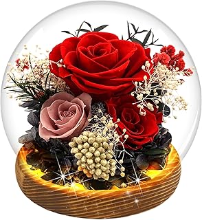 MOKOQI Red Rose Valentines Day Gifts for Her Forever Rose Flowers for Delivery Prime Preserved Flowers in Glass Dome | Bir...