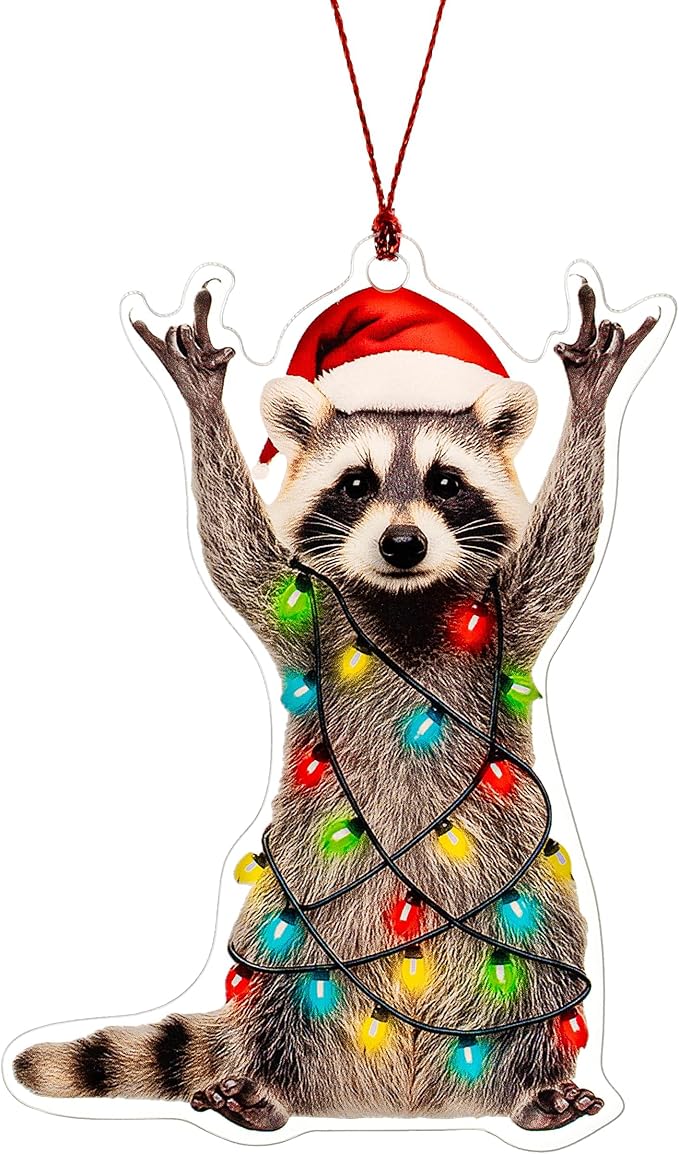 Racoon Christmas Ornament, Christmas Ornaments 2026, Funny Raccoon Gifts for Women Animal Lovers, Animal Gifts for Family,...