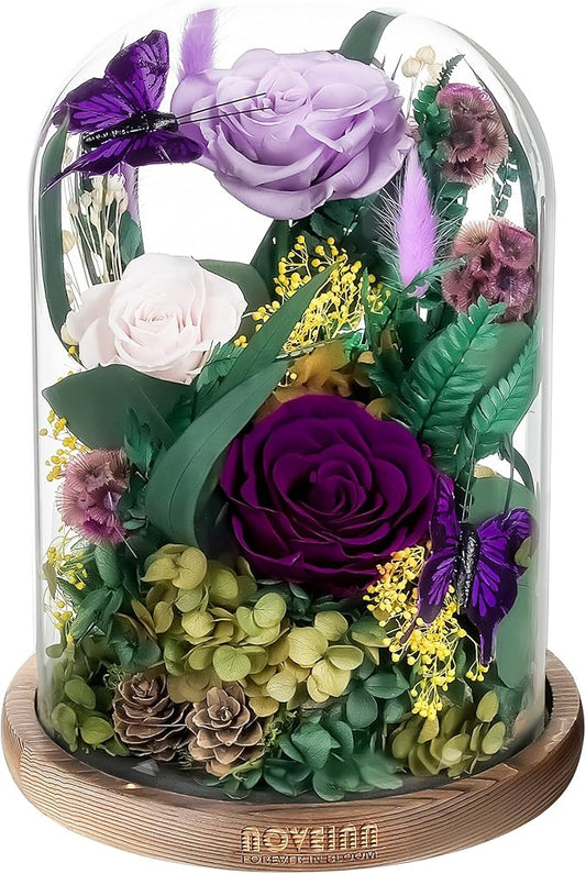 NOVEINN Preserved Flowers in Glass Dome - Eternal Rose Arrangement with Real Preserved Plants, Romantic Forever Rose Gift ...