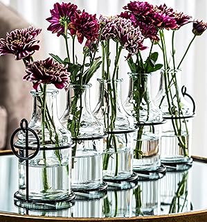 5pc Glass Flower Vase with Metal Holder, Best Vases for Flowers, Set for Home Decor, Wedding Decorations, Table Decor, Kit...