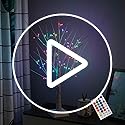 AOLTNRC 2ft Pre-lit Birch Tree with 72 LED Lights & Remote - RGB Color Changing Fairy Spirit Twinkling Tree for Christmas ...